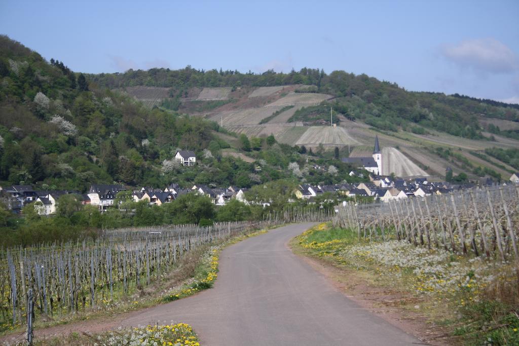 Hotel Weingut Goeres Briedel Exterior foto